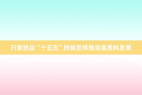 行家热议“十五五”时候怎样推动高质料发展